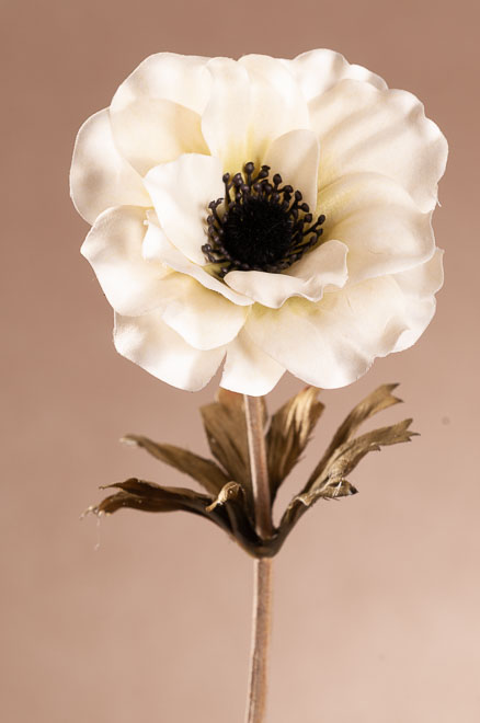 F310-W F310-P DRY SINGLE ANEMONE umělá květina bílá 35 cm od Paramit